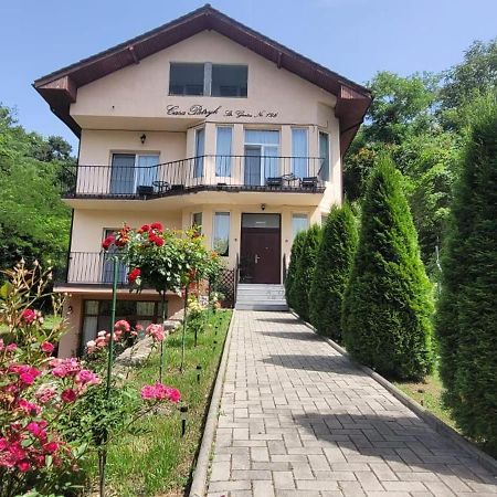 Casa Patryk Hotel Orsova Exterior photo